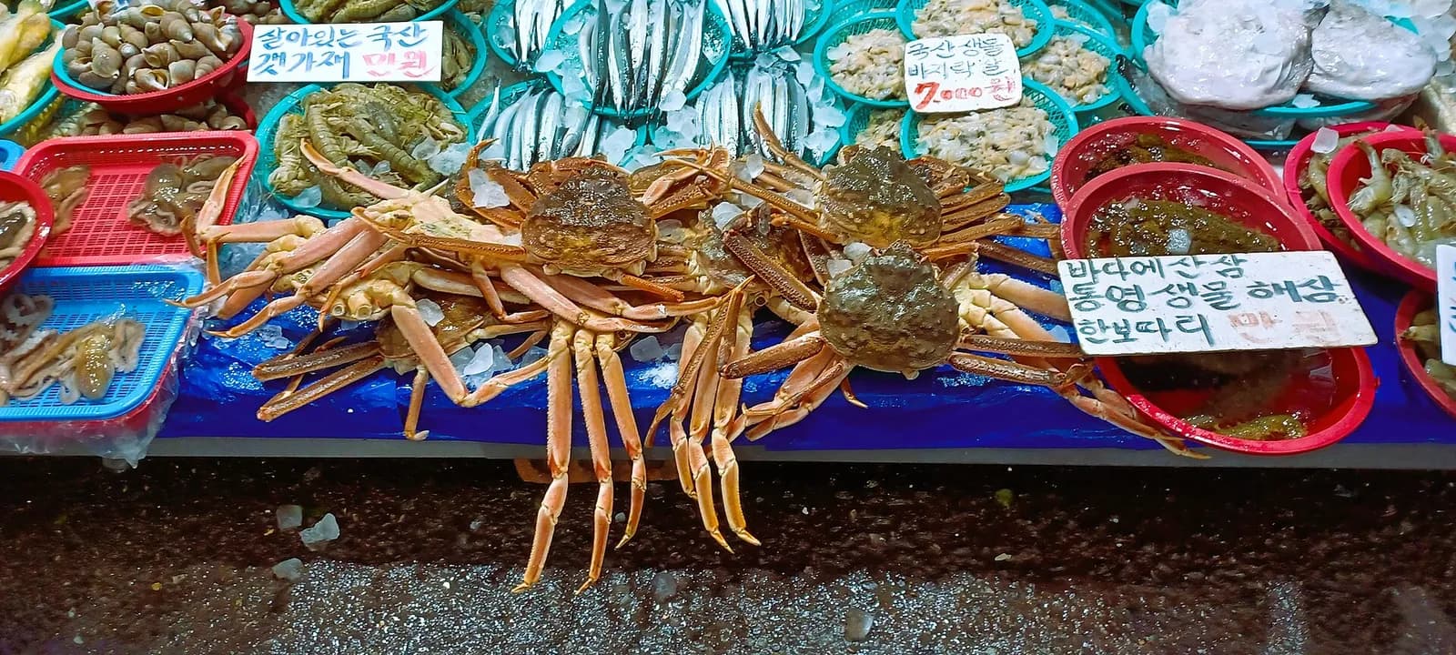 망원시장, 만 원으로 배부르게 먹는 법, 사진 1